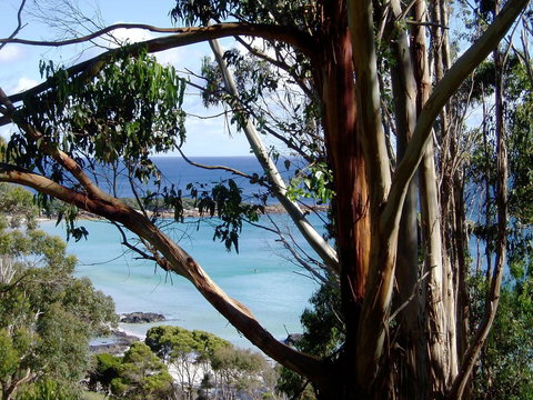 Seascape Beach House - Perths Hotel 8