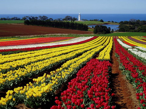 Seascape Beach House - Perths Hotel 27