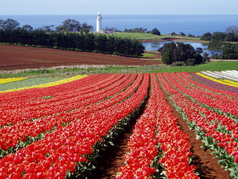 Seascape Beach House - Perths Hotel 26