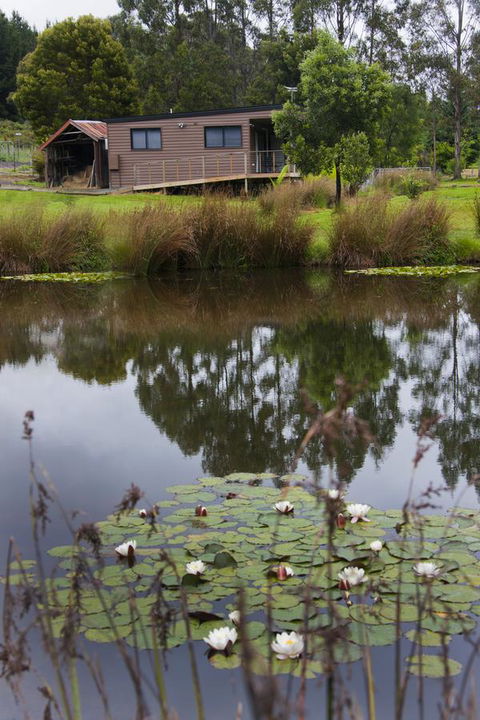 Tyenna River Cottages - Perths Hotel 13