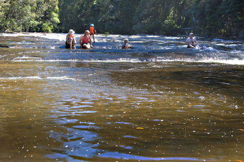 Tyenna River Cottages - Perths Hotel 9