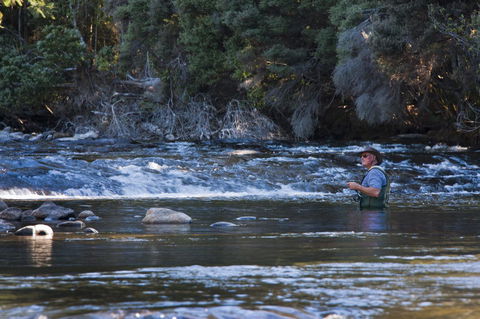 Tyenna River Cottages - Perths Hotel 21
