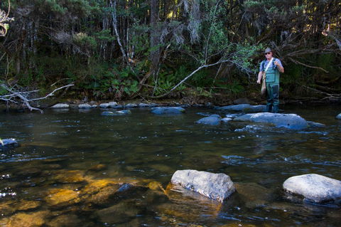 Tyenna River Cottages - Perths Hotel 2