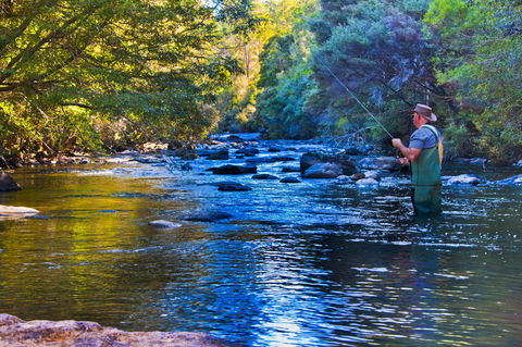 Tyenna River Cottages - Perths Hotel 22