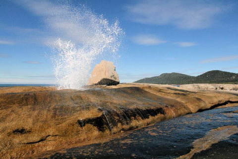 Suntrap Cove Bicheno - Perths Hotel 30