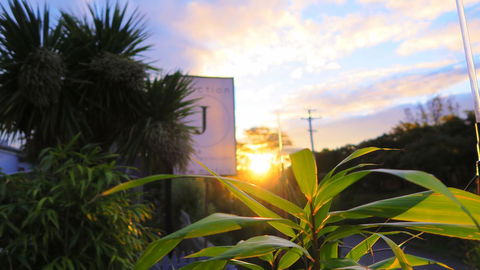 New Norfolk Junction Motel - Perths Hotel 31