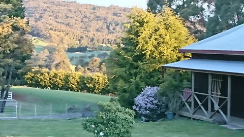 Glengarry Farm Stay BnB - Perths Hotel 7