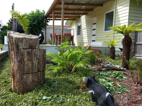 Pinestumps Holiday Home - Perths Hotel 12