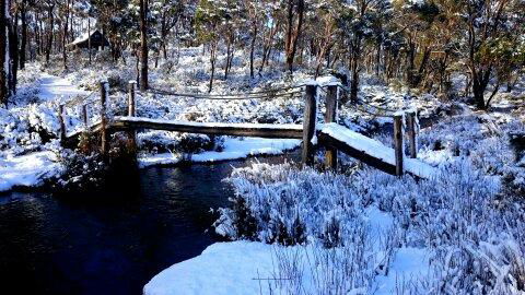 Cradle Mountain Love Shack - Perths Hotel 10