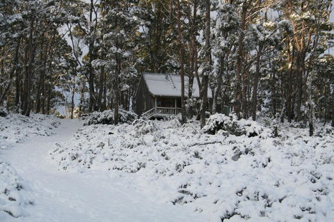 Cradle Mountain Love Shack - Perths Hotel 7