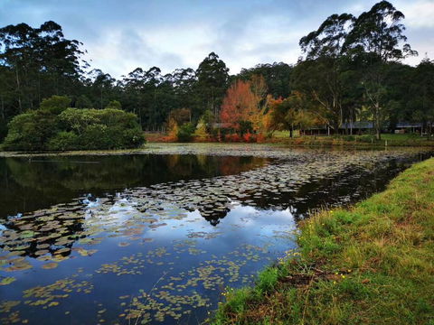 OCT Forest Lodge - Perths Hotel 2