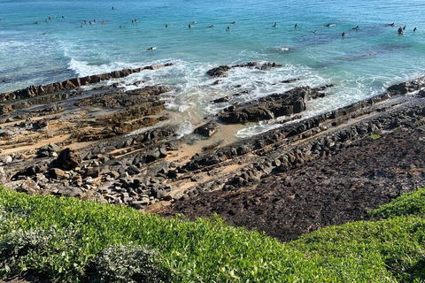 Pandanus - Perths Hotel 1