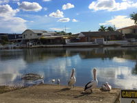 Pelican Cove Apartments