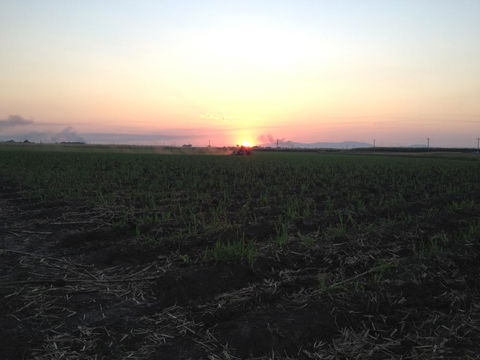 Plantation Park Motor Inn - Perths Hotel 3