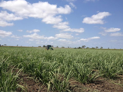 Plantation Park Motor Inn - Perths Hotel 2