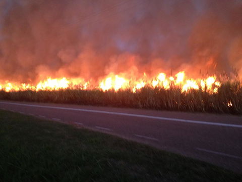 Plantation Park Motor Inn - Perths Hotel 1