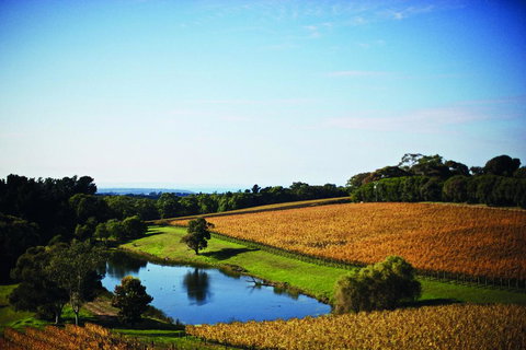 Port Phillip Estate - Perths Hotel 2