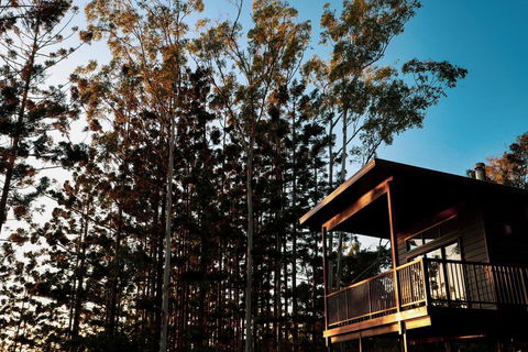 Rainforest Gardens - Luxury Hillside Chalets With Views To Bay & Islands - Perths Hotel 2
