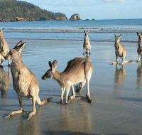 Seaforth Holiday Units - Perths Hotel