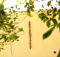 Siggy's Perth Accommodation - Perths Hotel