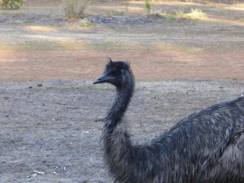 Splendid Wren Cottage - Perths Hotel 2