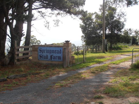 Springmead B&B - Perths Hotel 2