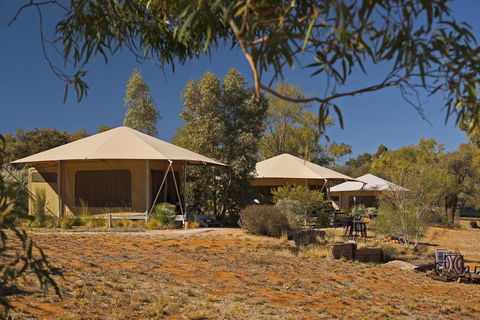 Squeakywindmill Boutique Tent B&B - Perths Hotel 0