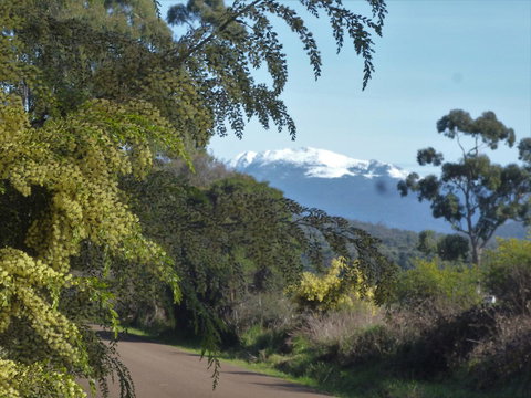 Southern Forest Accommodation - Perths Hotel 24