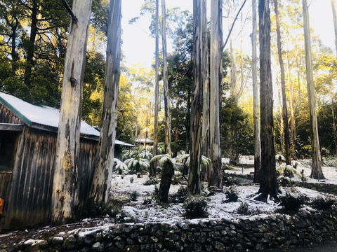 Lemonthyme Wilderness Retreat - Perths Hotel 6