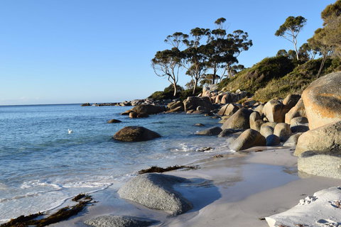 Anchor Wheel Motel - Perths Hotel 26