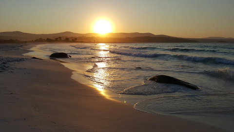 Anchor Wheel Motel - Perths Hotel 25