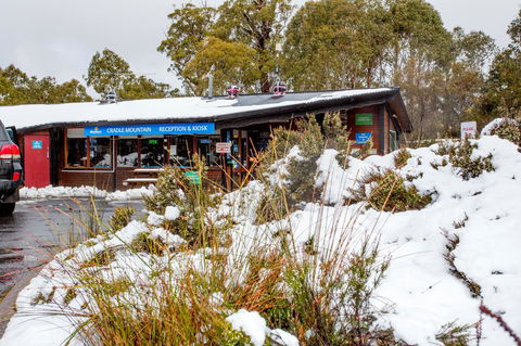 Discovery Parks - Cradle Mountain - Perths Hotel 29
