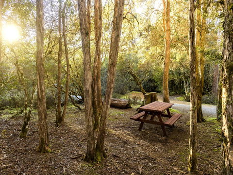 Discovery Parks - Cradle Mountain - Perths Hotel 19