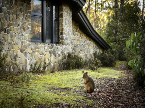 Discovery Parks - Cradle Mountain - Perths Hotel 22