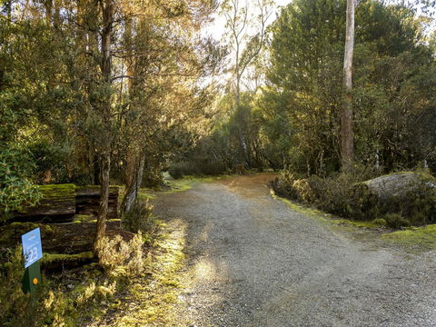 Discovery Parks - Cradle Mountain - Perths Hotel 1