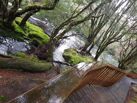 Cradle Alpine Retreat - Perths Hotel 13