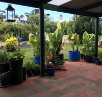Blue Wren Bungalow - Perths Hotel