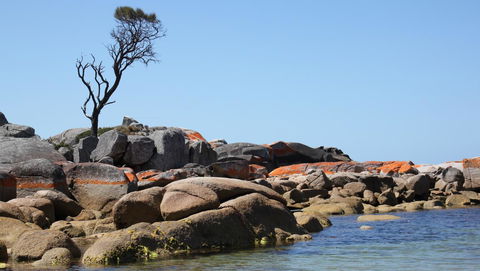 BAY OF FIRES SEACHANGE Ocean Frontage - Perths Hotel 21