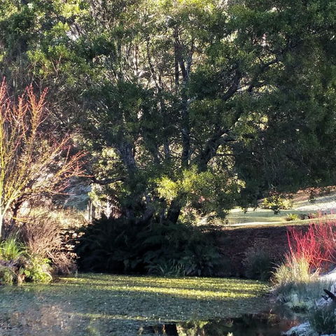 MaraPonds - Perths Hotel 9