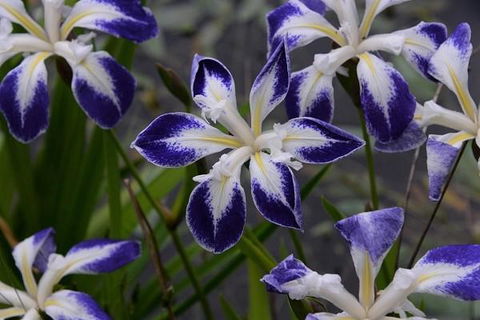 MaraPonds - Perths Hotel 13