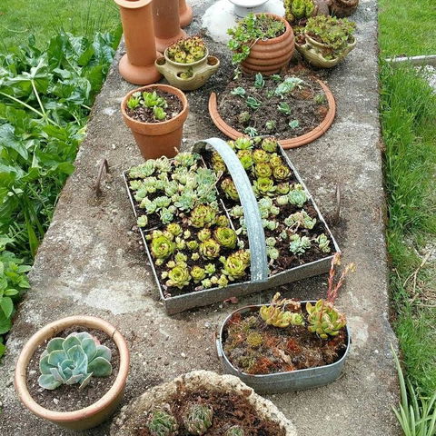 MaraPonds - Perths Hotel 10