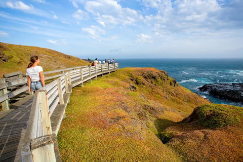 BIG4 Ingenia Holidays Phillip Island - Perths Hotel 19