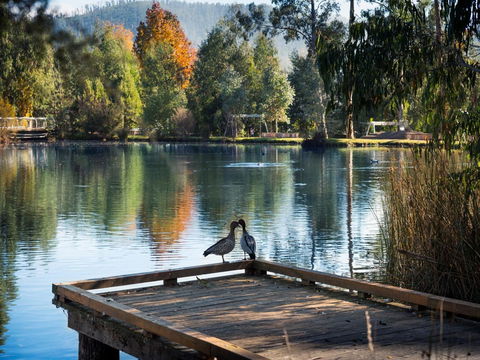 Peppers Marysville - Perths Hotel 12