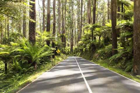 Peppers Marysville - Perths Hotel 21