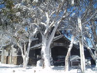 Book Dinner Plain Accommodation Vacations Perths Hotel Perths Hotel
