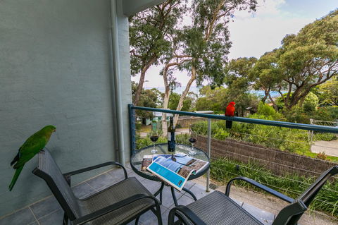 Lorne Surf Apartments - Perths Hotel 21