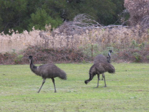 The Grampians Motel - Perths Hotel 22