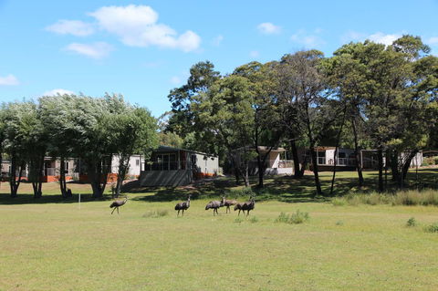 Halls Gap Lakeside Tourist Park - Perths Hotel 1