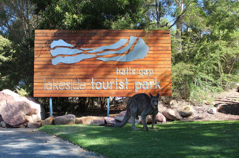 Halls Gap Lakeside Tourist Park - Perths Hotel 3