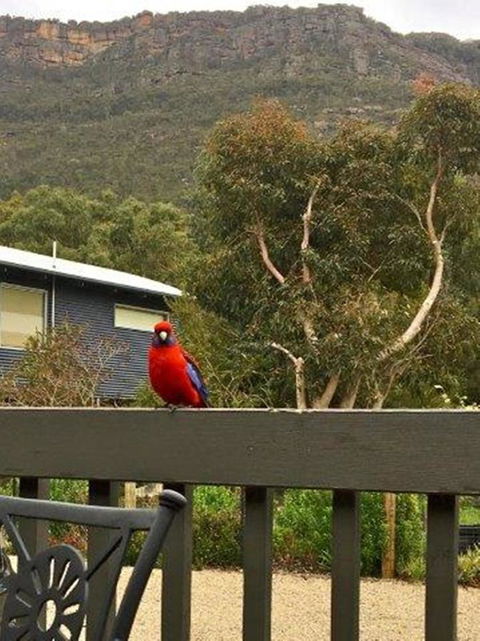 Kangurra Holiday House - Perths Hotel 15
